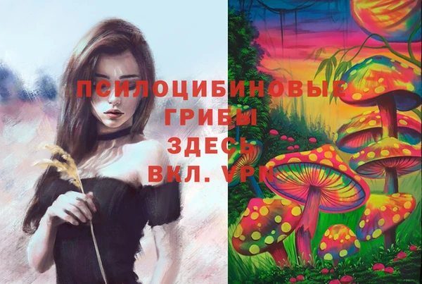 круглые Майский
